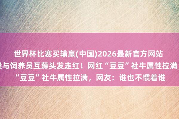 世界杯比赛买输赢(中国)2026最新官方网站 上海野纯真物园蜘蛛猴与饲养员互薅头发走红！网红“豆豆”社牛属性拉满，网友：谁也不惯着谁