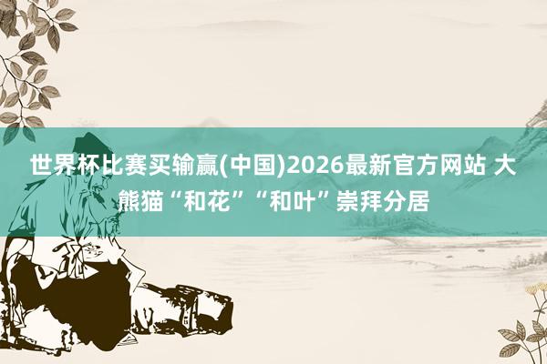 世界杯比赛买输赢(中国)2026最新官方网站 大熊猫“和花”“和叶”崇拜分居