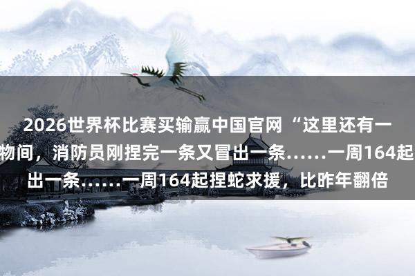 2026世界杯比赛买输赢中国官网 “这里还有一条！”杭州住户家中杂物间，消防员刚捏完一条又冒出一条……一周164起捏蛇求援，比昨年翻倍