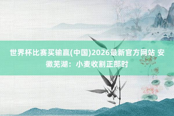 世界杯比赛买输赢(中国)2026最新官方网站 安徽芜湖：小麦收割正那时