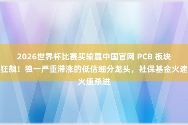 2026世界杯比赛买输赢中国官网 PCB 板块集体狂飙！独一严重滞涨的低估细分龙头，社保基金火速杀进