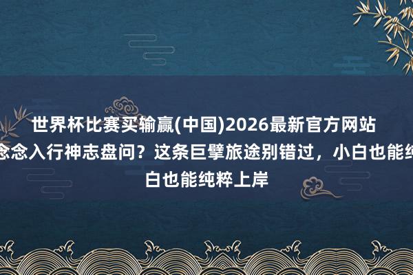 世界杯比赛买输赢(中国)2026最新官方网站 零基础念念入行神志盘问？这条巨擘旅途别错过，小白也能纯粹上岸