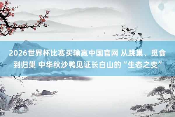2026世界杯比赛买输赢中国官网 从跳巢、觅食到归巢 中华秋沙鸭见证长白山的“生态之变”