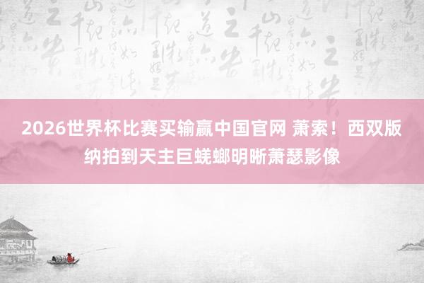 2026世界杯比赛买输赢中国官网 萧索！西双版纳拍到天主巨蜣螂明晰萧瑟影像