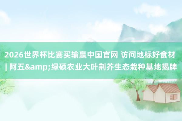 2026世界杯比赛买输赢中国官网 访问地标好食材 | 阿五&绿硕农业大叶荆芥生态栽种基地揭牌