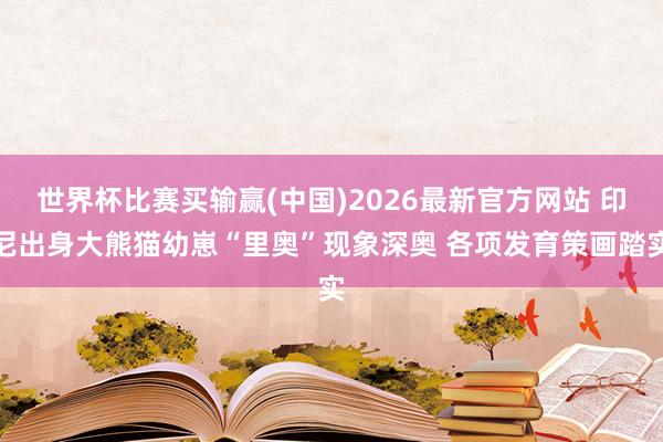 世界杯比赛买输赢(中国)2026最新官方网站 印尼出身大熊猫幼崽“里奥”现象深奥 各项发育策画踏实