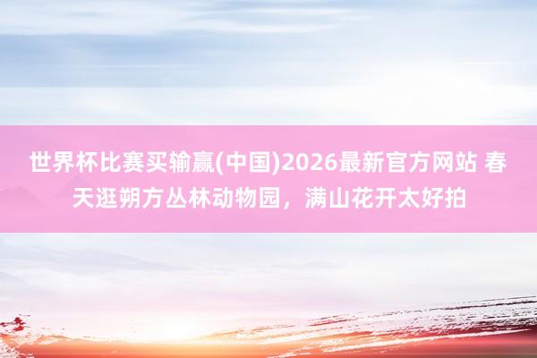 世界杯比赛买输赢(中国)2026最新官方网站 春天逛朔方丛林动物园，满山花开太好拍