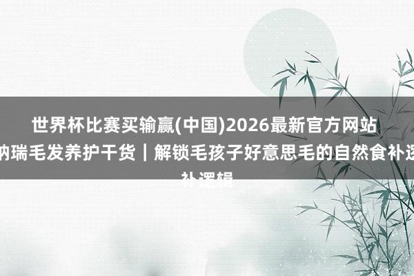 世界杯比赛买输赢(中国)2026最新官方网站 雪纳瑞毛发养护干货｜解锁毛孩子好意思毛的自然食补逻辑