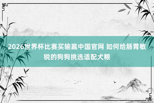 2026世界杯比赛买输赢中国官网 如何给肠胃敏锐的狗狗挑选适配犬粮