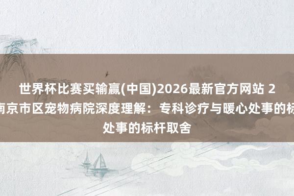 世界杯比赛买输赢(中国)2026最新官方网站 2026年南京市区宠物病院深度理解：专科诊疗与暖心处事的标杆取舍