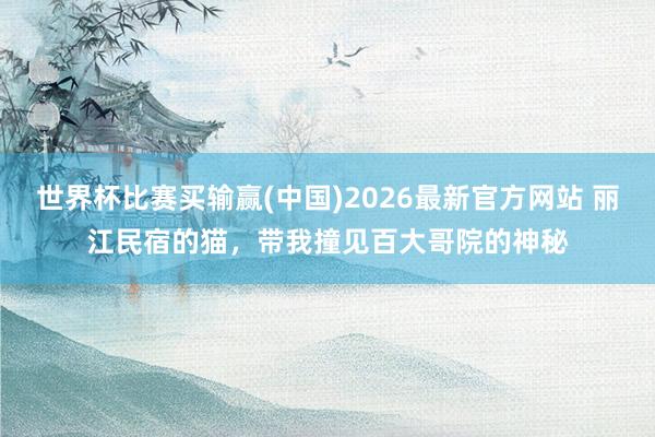 世界杯比赛买输赢(中国)2026最新官方网站 丽江民宿的猫，带我撞见百大哥院的神秘