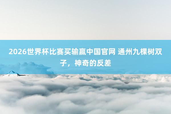2026世界杯比赛买输赢中国官网 通州九棵树双子，神奇的反差