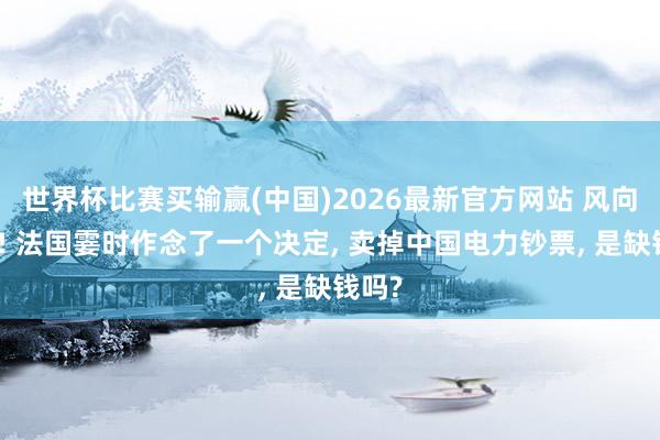 世界杯比赛买输赢(中国)2026最新官方网站 风向大变! 法国霎时作念了一个决定， 卖掉中国电力钞票， 是缺钱吗?