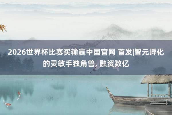 2026世界杯比赛买输赢中国官网 首发|智元孵化的灵敏手独角兽， 融资数亿