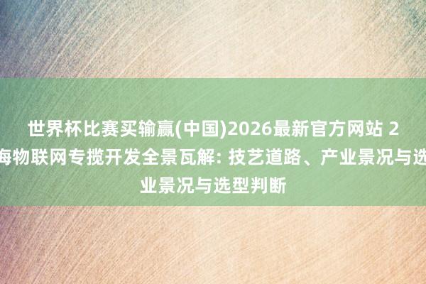 世界杯比赛买输赢(中国)2026最新官方网站 2026上海物联网专揽开发全景瓦解: 技艺道路、产业景况与选型判断