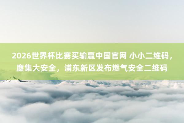 2026世界杯比赛买输赢中国官网 小小二维码，麇集大安全，浦东新区发布燃气安全二维码