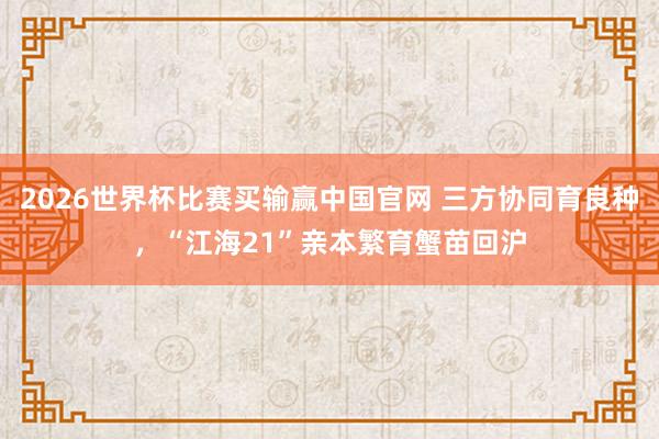2026世界杯比赛买输赢中国官网 三方协同育良种，“江海21”亲本繁育蟹苗回沪