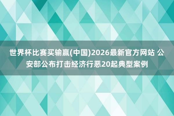 世界杯比赛买输赢(中国)2026最新官方网站 公安部公布打击经济行恶20起典型案例