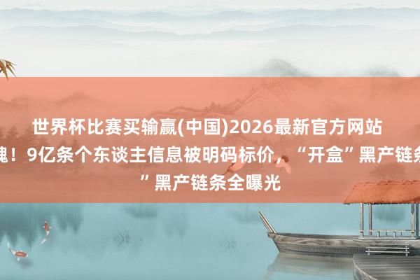 世界杯比赛买输赢(中国)2026最新官方网站 惊魂动魄！9亿条个东谈主信息被明码标价，“开盒”黑产链条全曝光
