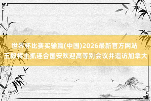 世界杯比赛买输赢(中国)2026最新官方网站 王毅将主抓连合国安欢迎高等别会议并造访加拿大