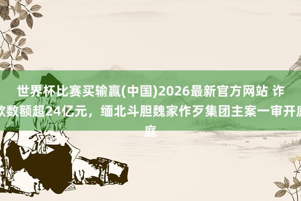 世界杯比赛买输赢(中国)2026最新官方网站 诈欺数额超24亿元，缅北斗胆魏家作歹集团主案一审开庭