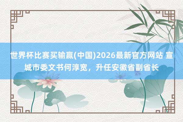 世界杯比赛买输赢(中国)2026最新官方网站 宣城市委文书何淳宽，升任安徽省副省长