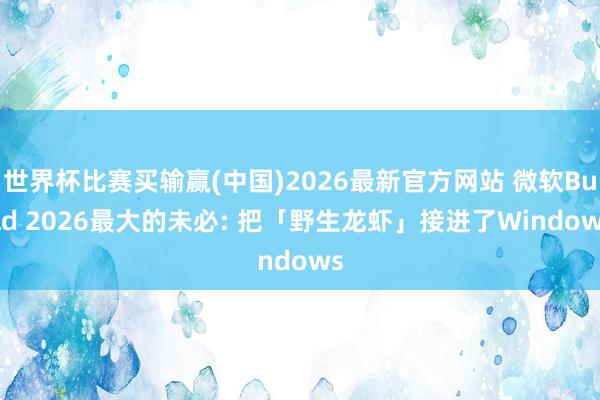 世界杯比赛买输赢(中国)2026最新官方网站 微软Build 2026最大的未必: 把「野生龙虾」接进了Windows