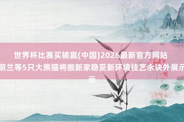 世界杯比赛买输赢(中国)2026最新官方网站 萌兰等5只大熊猫将搬新家稳妥新环境技艺永诀外展示