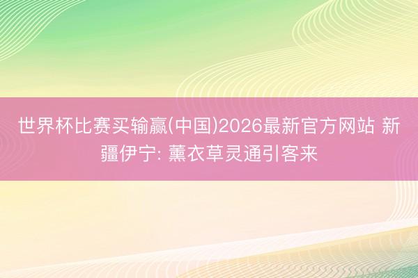 世界杯比赛买输赢(中国)2026最新官方网站 新疆伊宁: 薰衣草灵通引客来